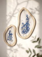 Delphinium