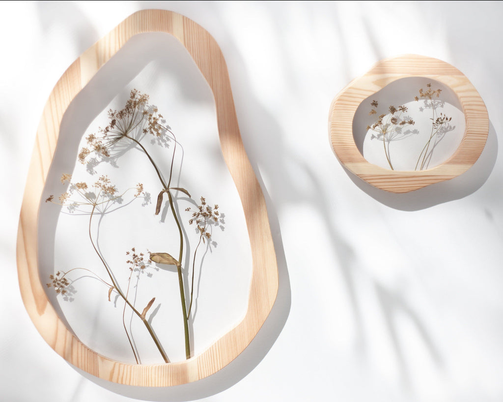 Umbels
