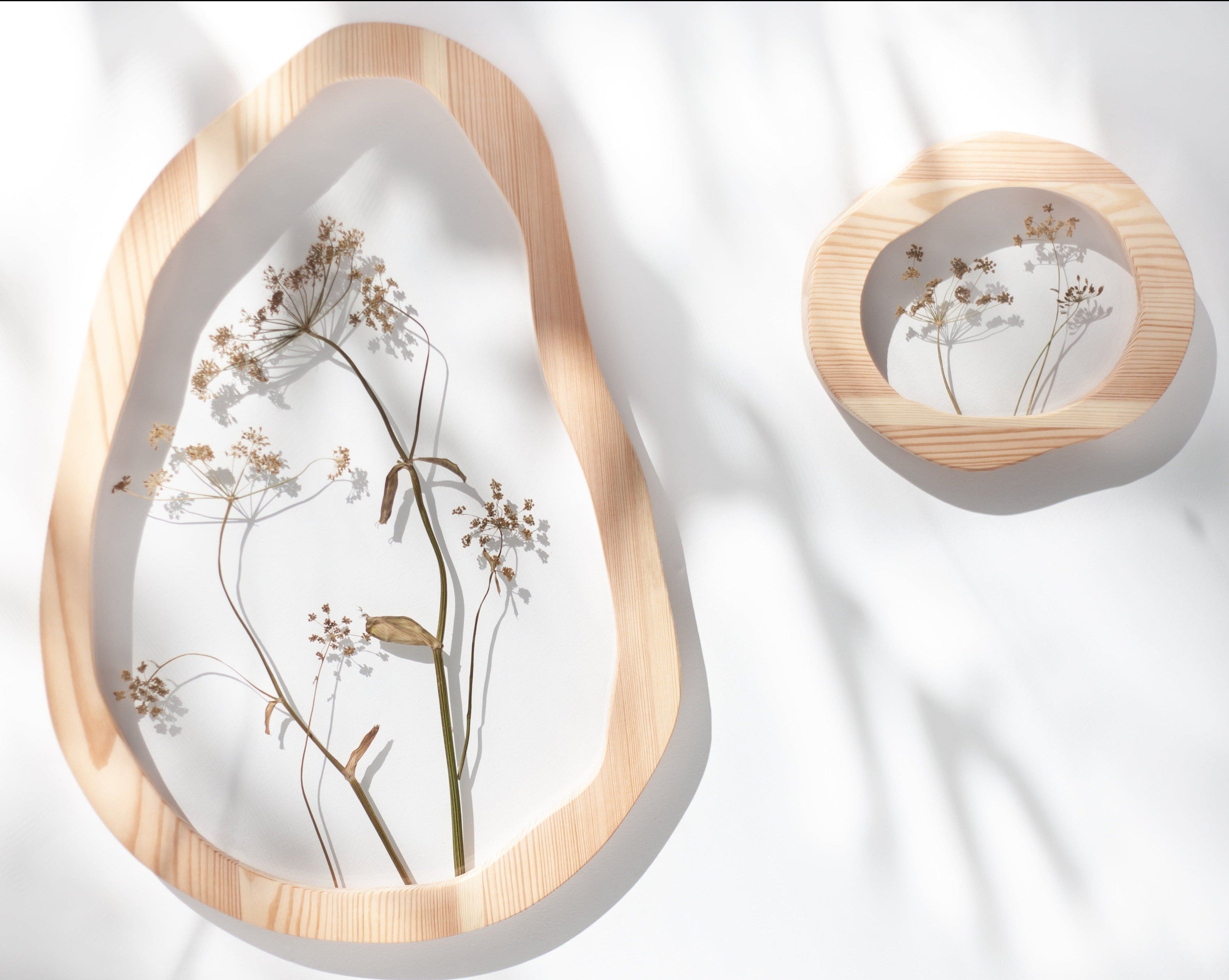 Umbels