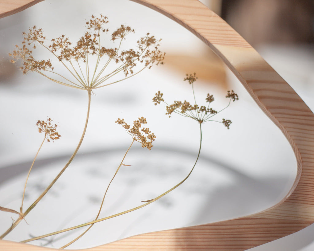 Umbels