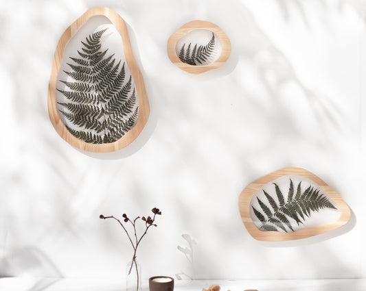 Pressed flower art - Evergreen fern