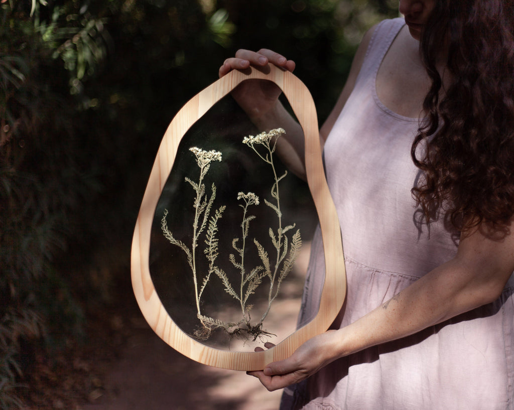 Yarrow Roots