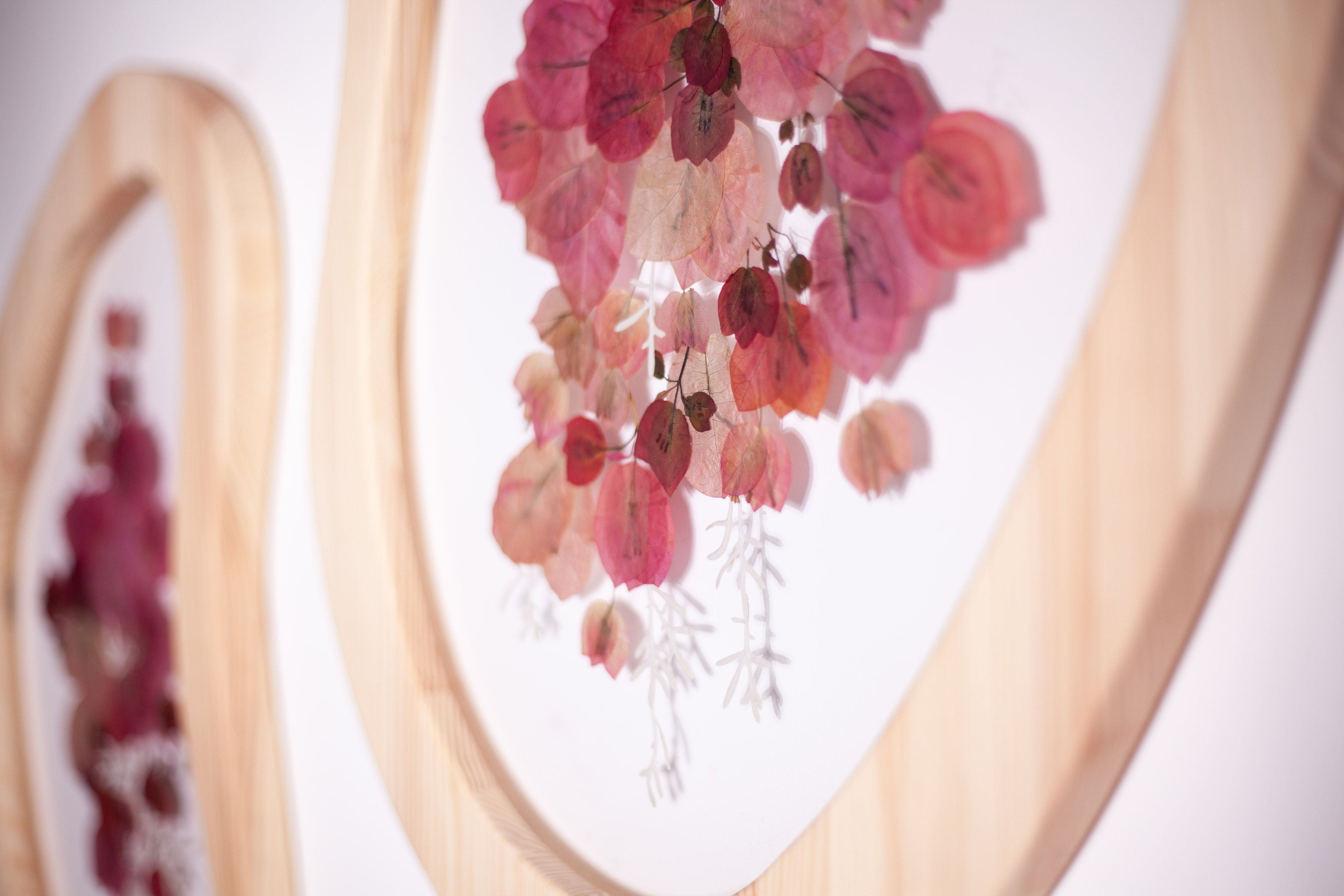 SCALE / Bougainvillea Blush