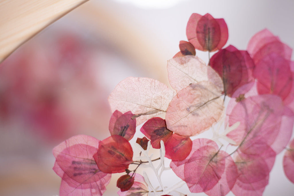 SCALE / Bougainvillea Blush