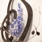 Delphinium