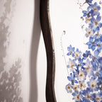 Delphinium