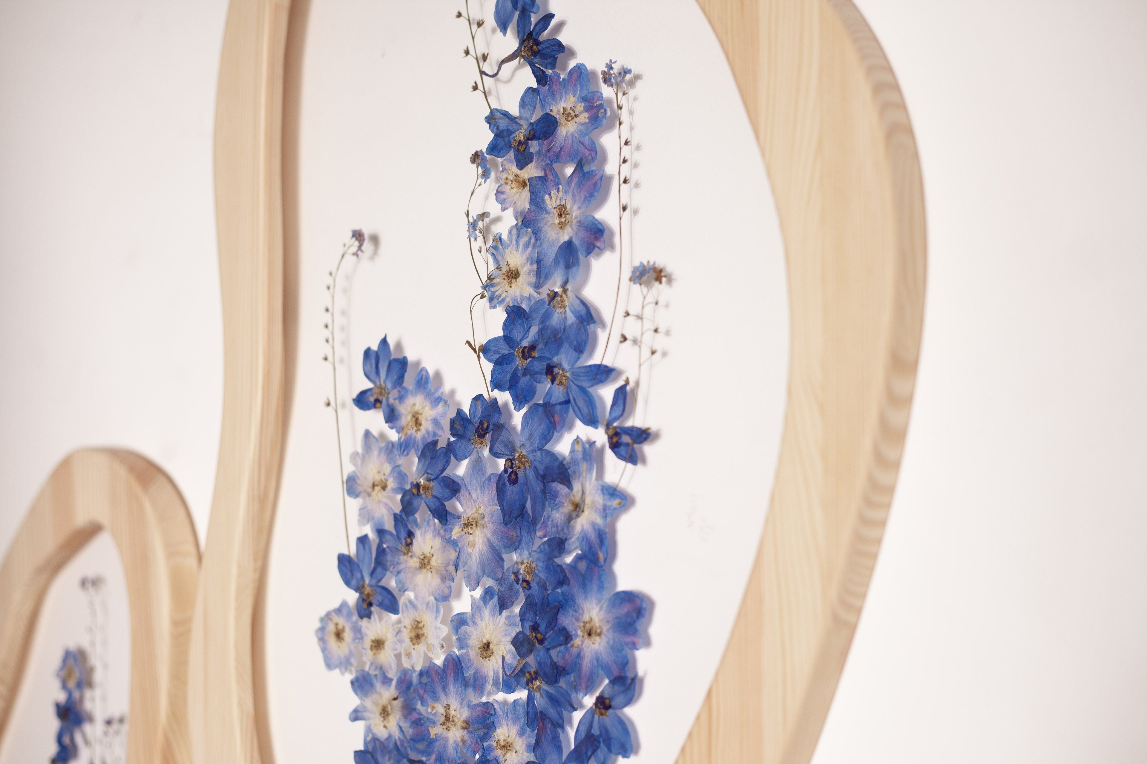 SCALE / Delphinium