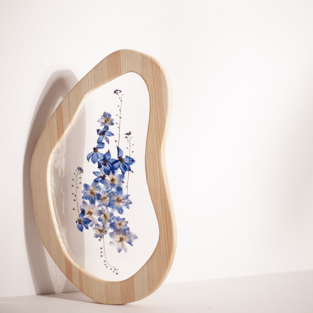 Delphinium