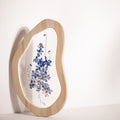 Delphinium