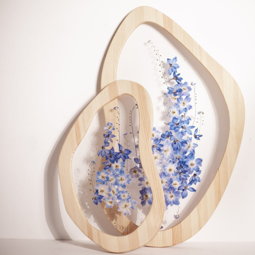 Delphinium