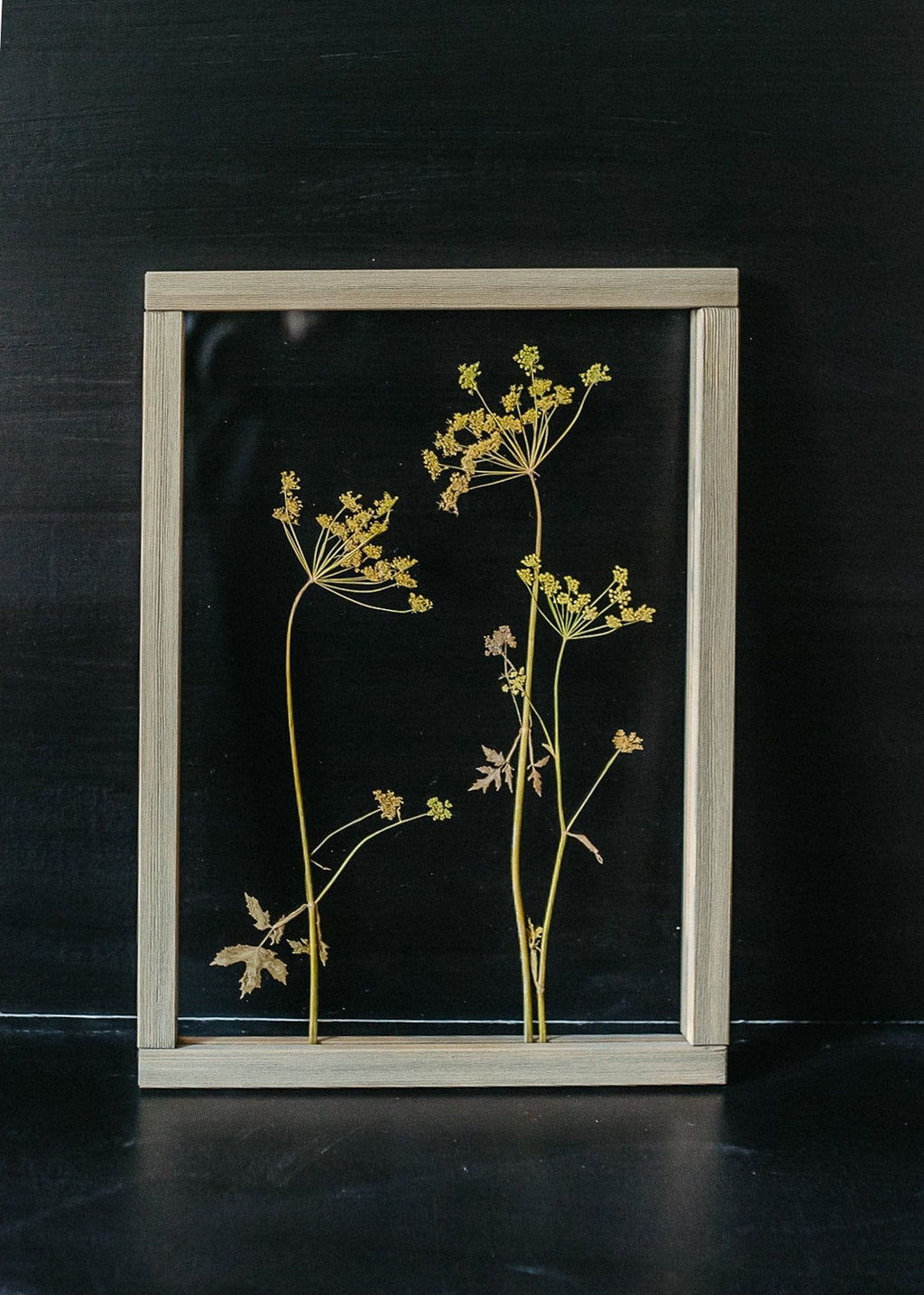 Cadre fleurs pressées 13x18" - Fleurs d'aneth