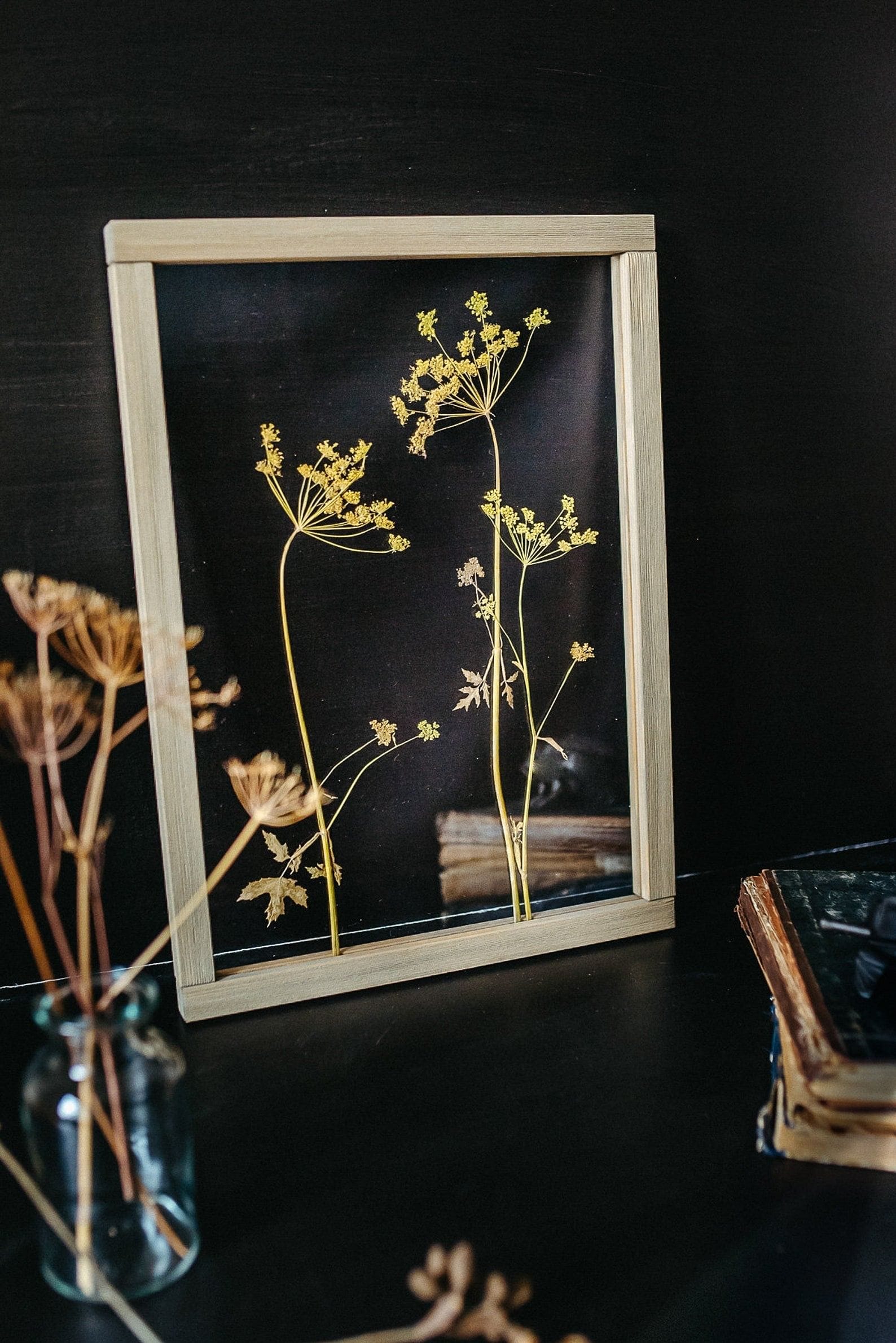 Cadre fleurs pressées 13x18" - Fleurs d'aneth