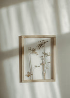 Cadre fleurs pressées 13x18" - Fleurs d'aneth
