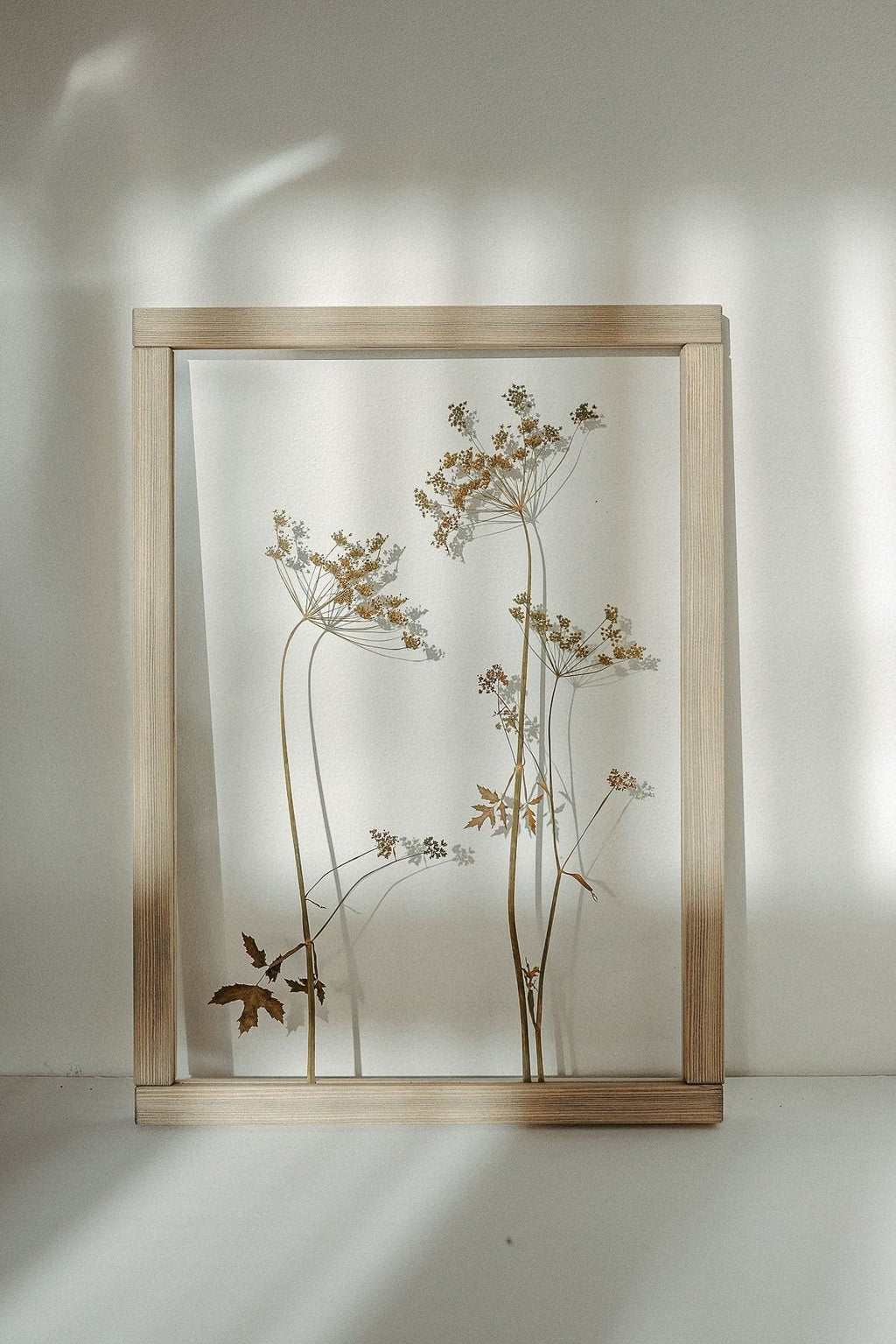 Cadre fleurs pressées 13x18" - Fleurs d'aneth