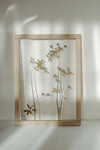 Cadre fleurs pressées 13x18" - Fleurs d'aneth