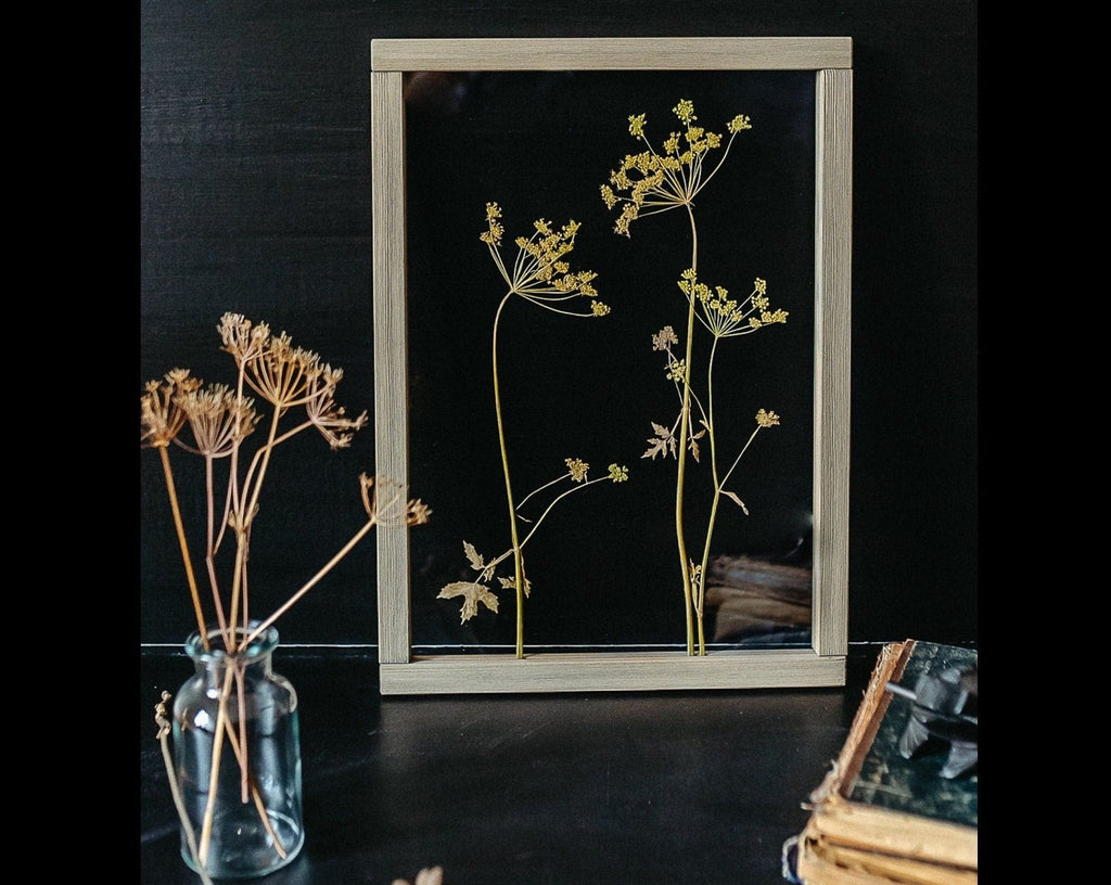 Cadre fleurs pressées 13x18" - Fleurs d'aneth