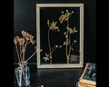 Cadre fleurs pressées 13x18" - Fleurs d'aneth