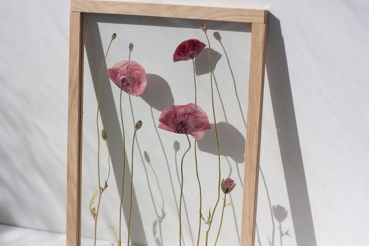 Pressed Flowers art 13x18" - Poppies - Emerald Rabbit