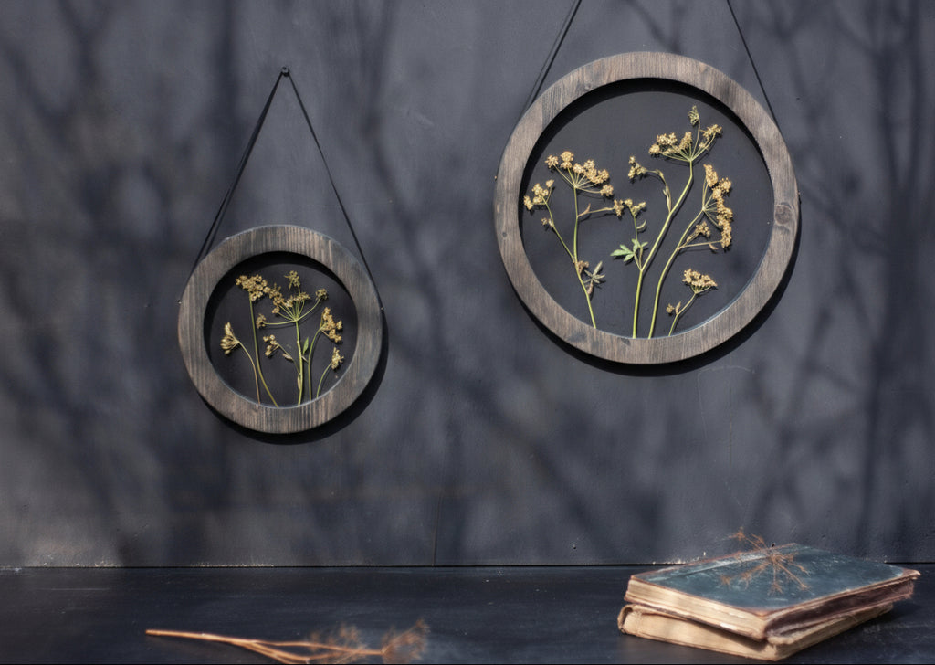 Pressed flower frame d. 9" and 12" - Dill Blossom - Emerald Rabbit