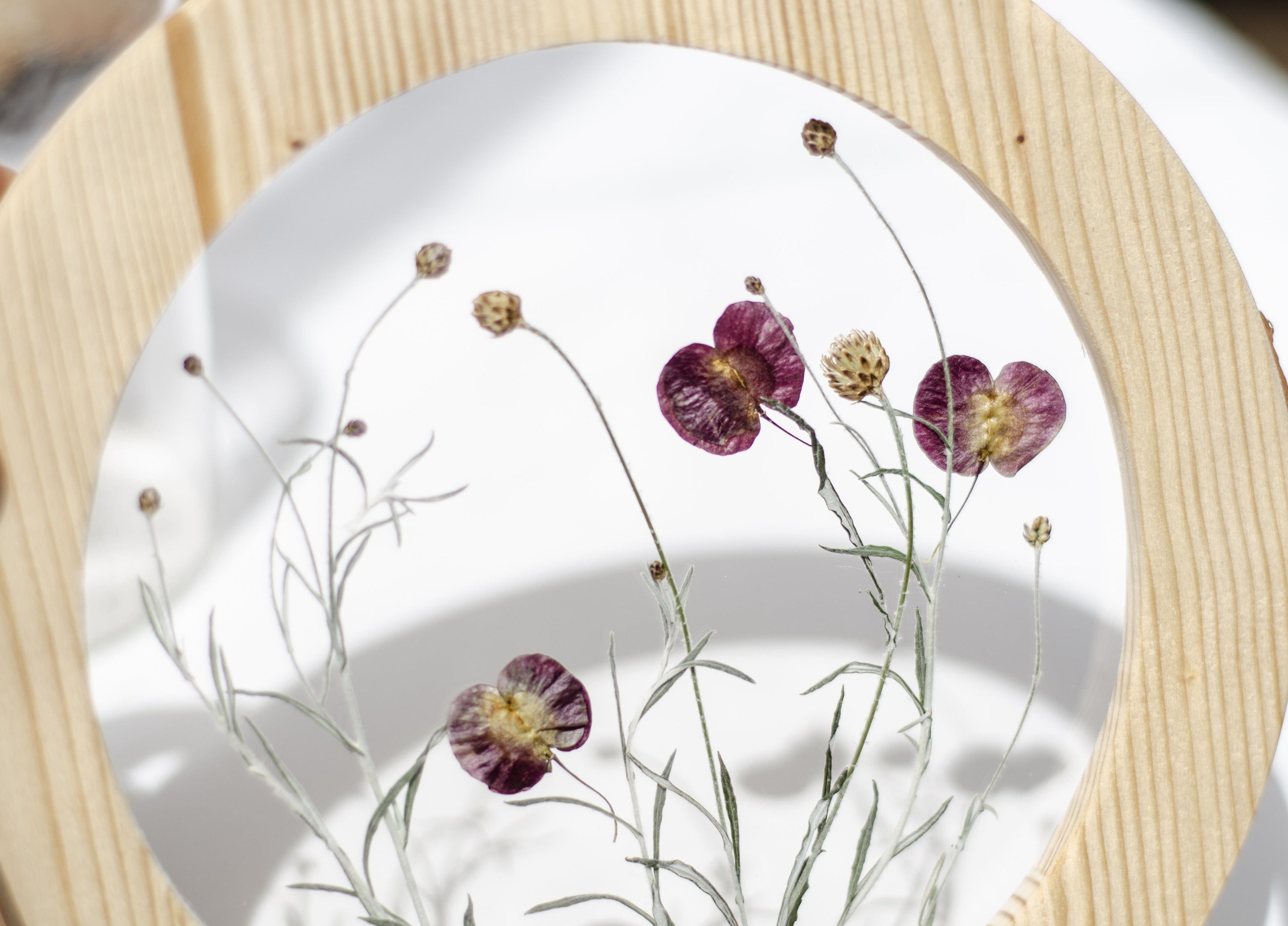 Pressed flower frame d. 9" and 12" - Silver and burgundy