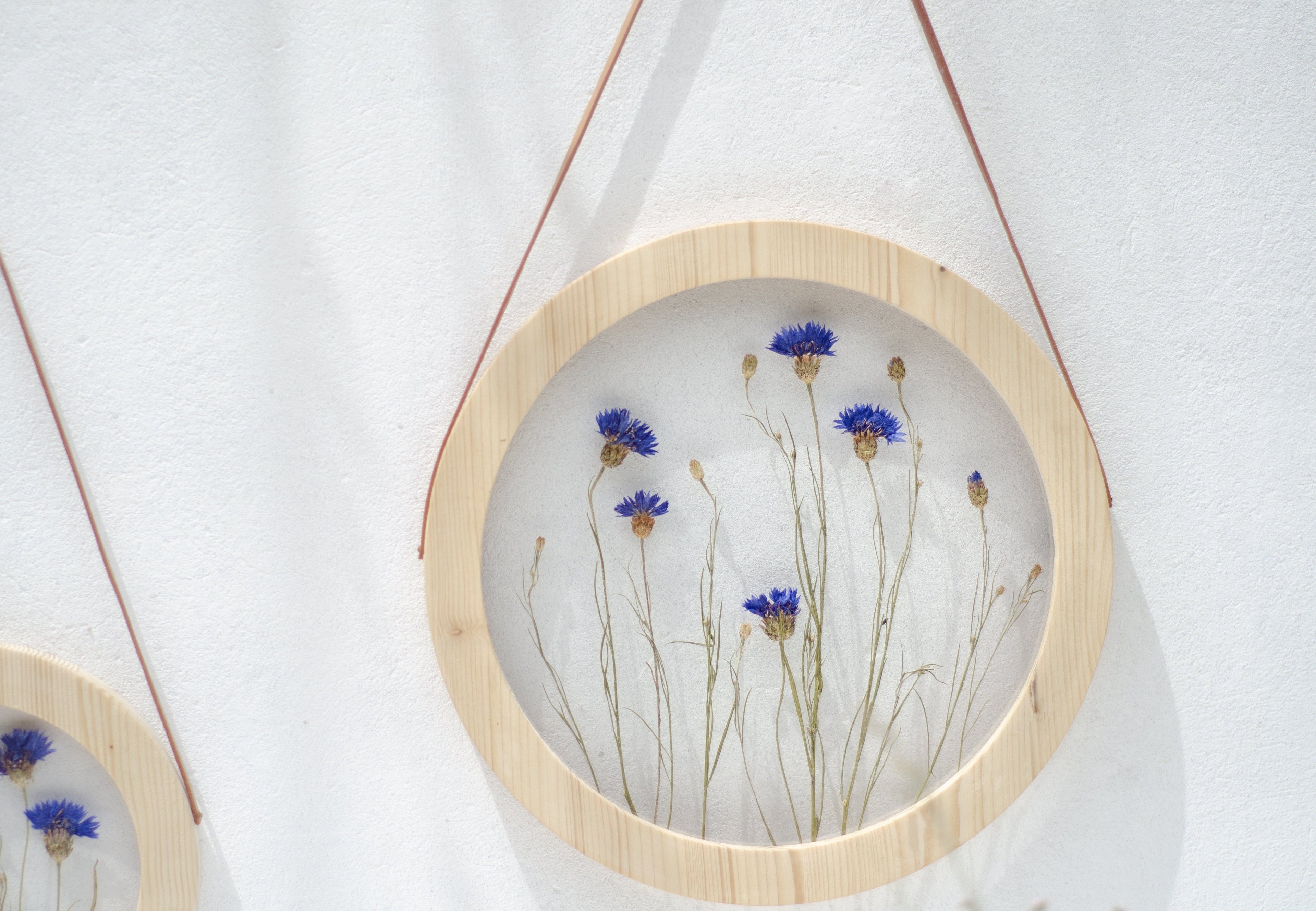 Pressed flower frame d. 9" and 12" - Cornflowers