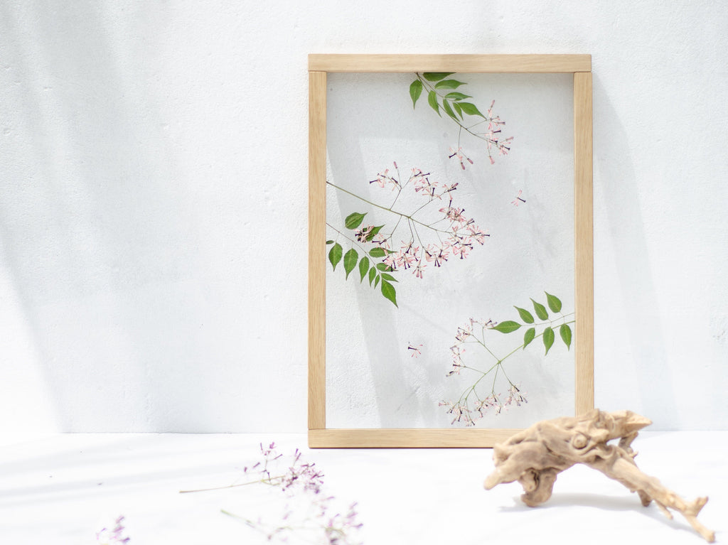 Cadre fleurs pressées 13x18" - Lilas