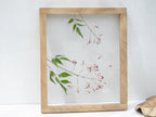 Cadre de fleurs pressées 10,5x12,5" - Lilas