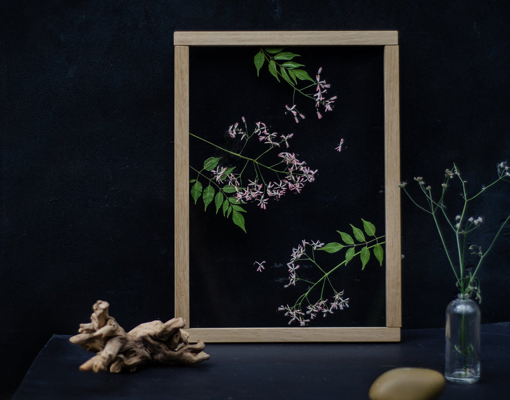 Cadre fleurs pressées 13x18" - Lilas