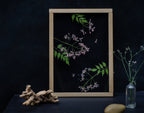 Cadre fleurs pressées 13x18" - Lilas