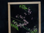 Cadre fleurs pressées 13x18" - Lilas