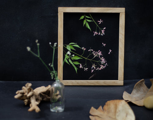 Cadre de fleurs pressées 10,5x12,5" - Lilas