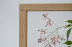 Cadre de fleurs pressées 10,5x12,5" - Lilas