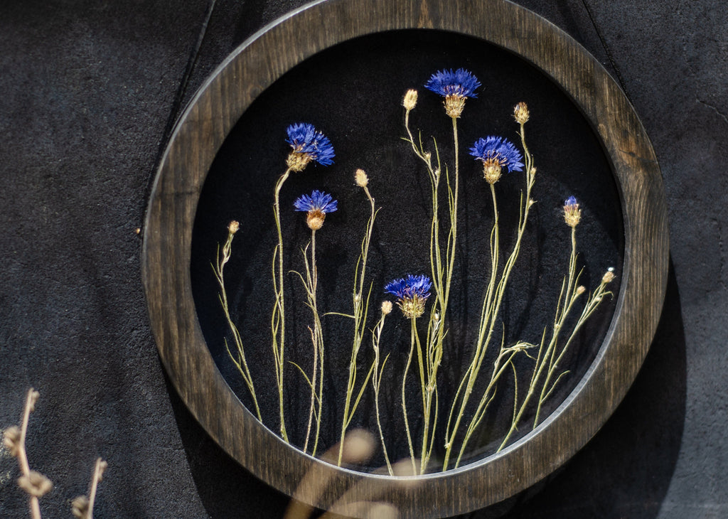 Cadre de fleurs pressées diam. 9" et 12" - Bluets