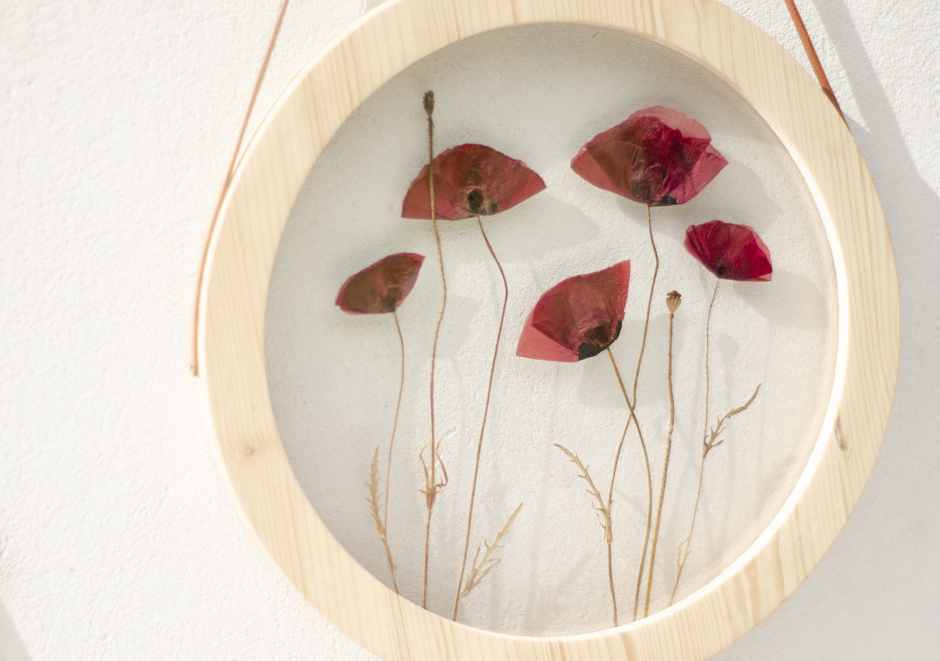 Cadre de fleurs pressées d. 9 po et 12 po - Le temps des coquelicots