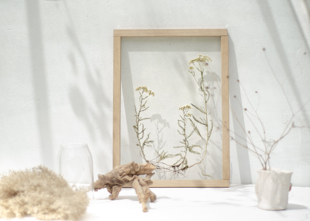 Cadre Fleurs pressées 13x18" - Racines familiales
