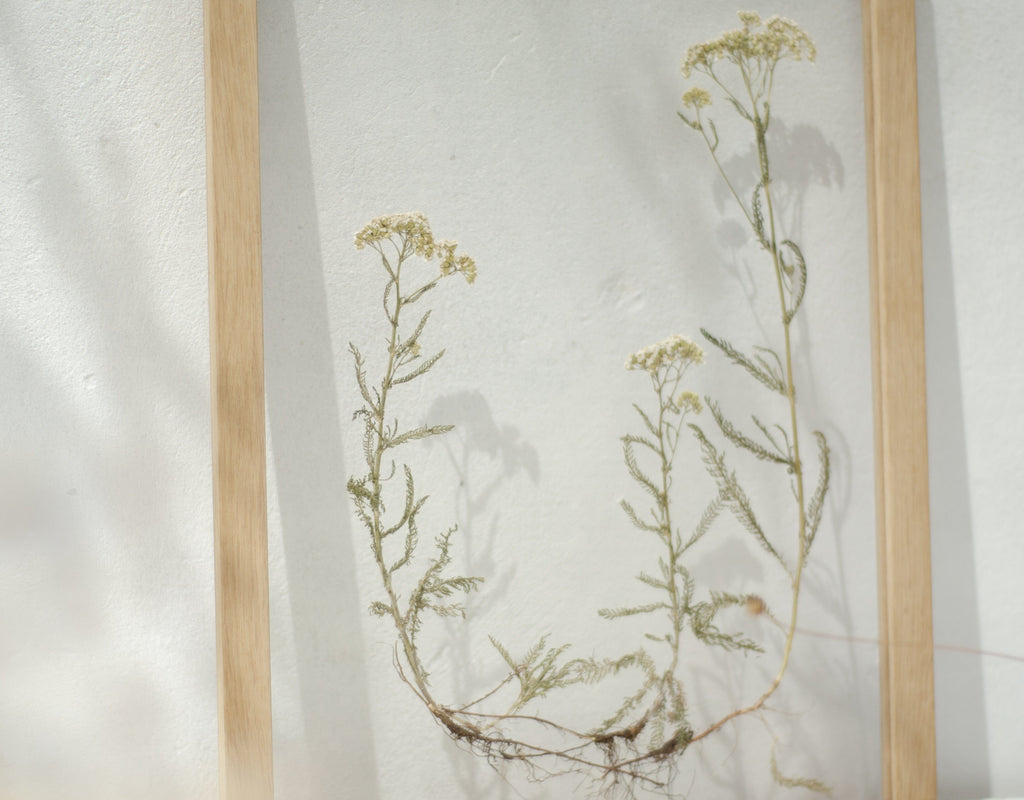 Cadre Fleurs pressées 13x18" - Racines familiales
