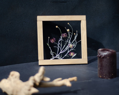 Tableau de fleurs pressées 20x20 cm - Argent et Bordeaux