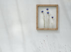 Cadre de fleurs pressées 26,5x31,5 cm - Bleuets