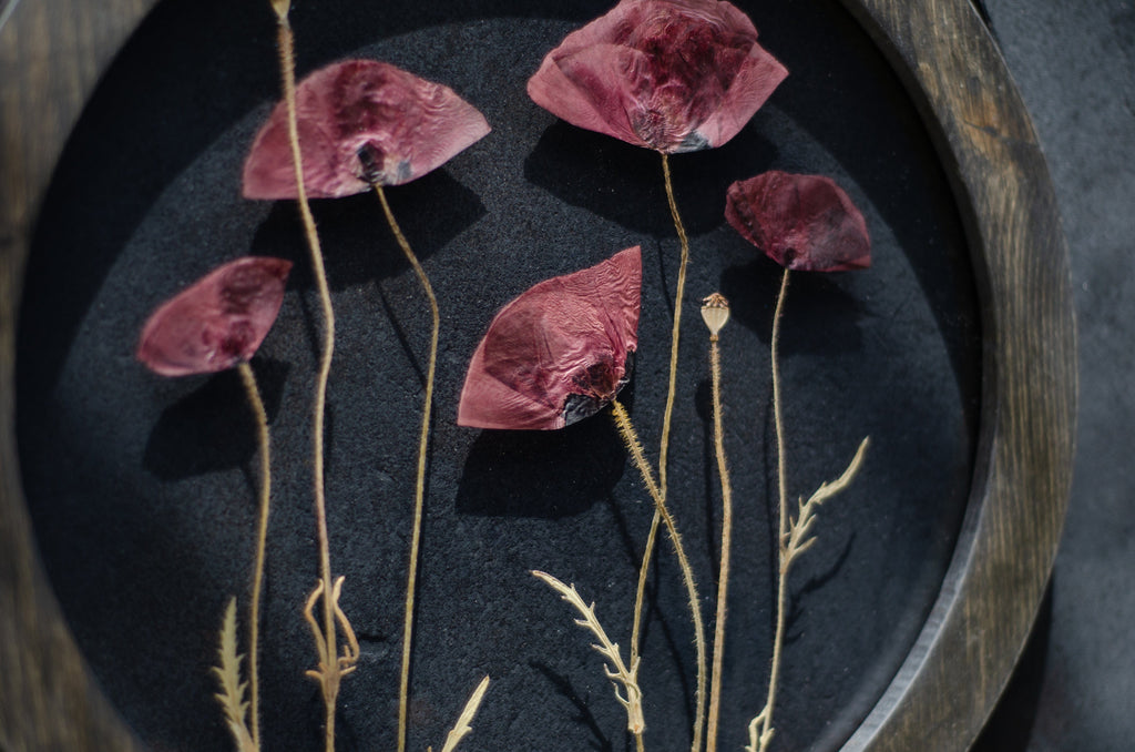 Cadre de fleurs pressées d. 9 po et 12 po - Le temps des coquelicots