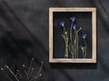Cadre de fleurs pressées 26,5x31,5 cm - Bleuets