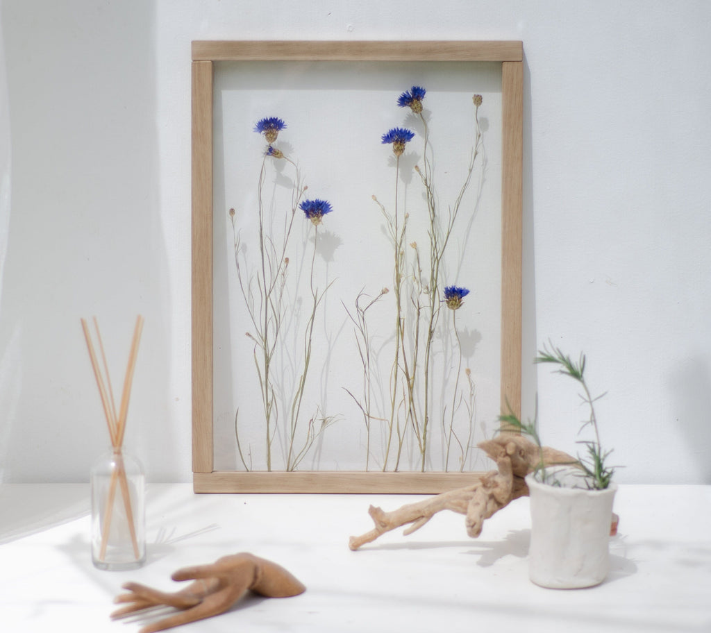 Cadre de fleurs pressées 13x18" - Bleuets