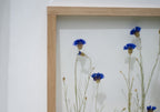 Cadre de fleurs pressées 13x18" - Bleuets
