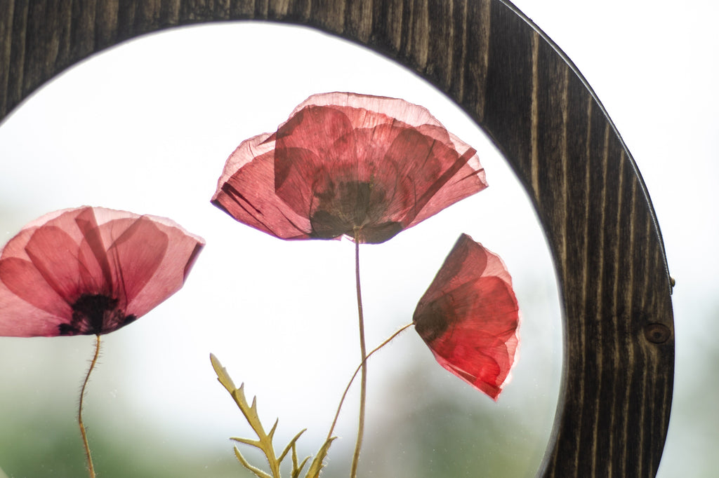 Cadre de fleurs pressées d. 9 po et 12 po - Le temps des coquelicots