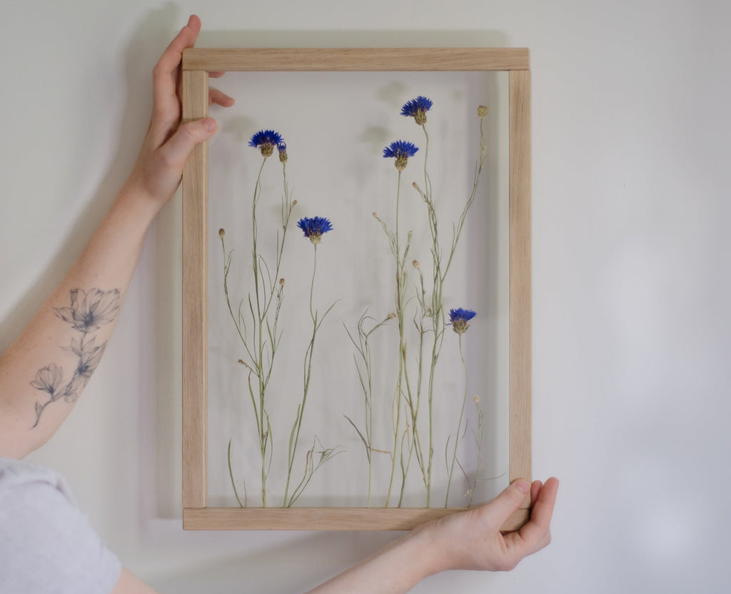 Cadre de fleurs pressées 13x18" - Bleuets