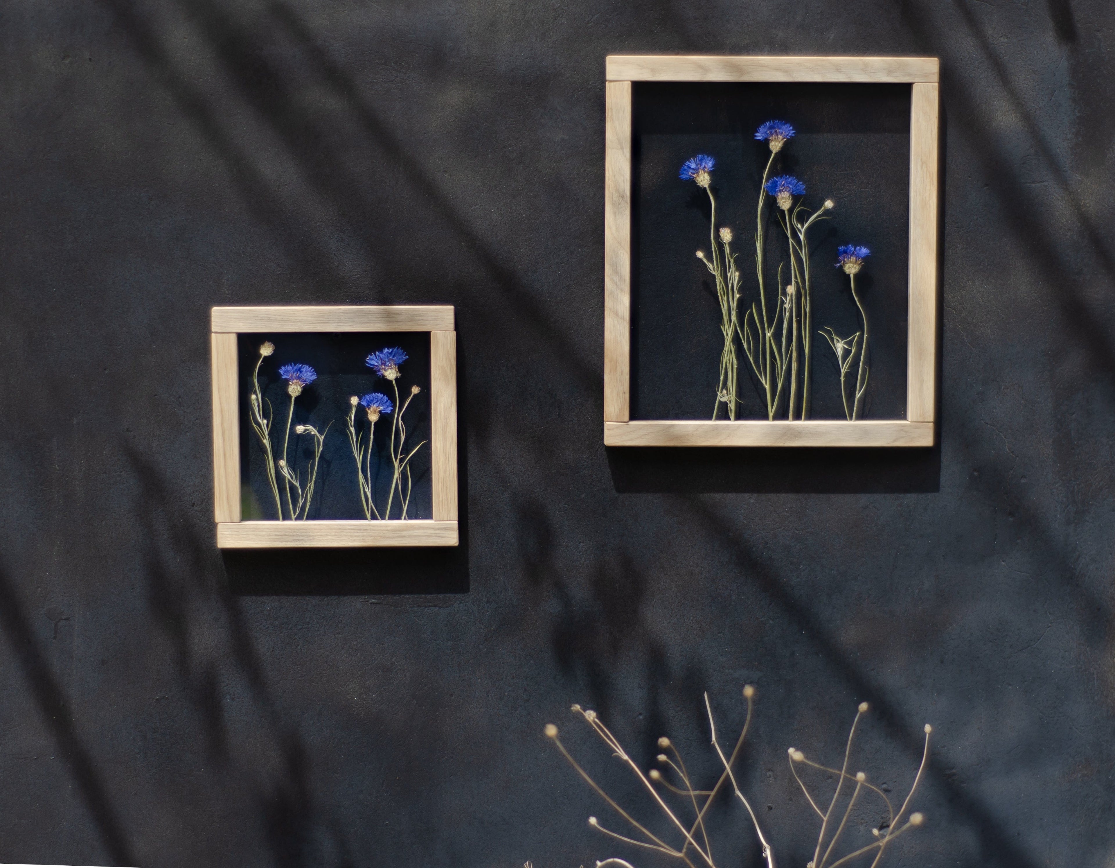 Pressed Flower Art 8x8" - Cornflowers