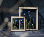 Cadre de fleurs pressées 26,5x31,5 cm - Bleuets
