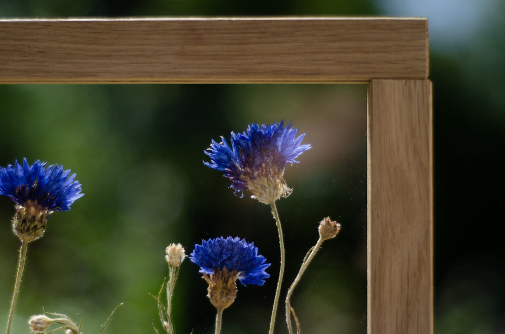 Cadre de fleurs pressées 13x18" - Bleuets