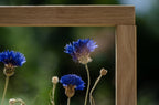 Cadre de fleurs pressées 13x18" - Bleuets