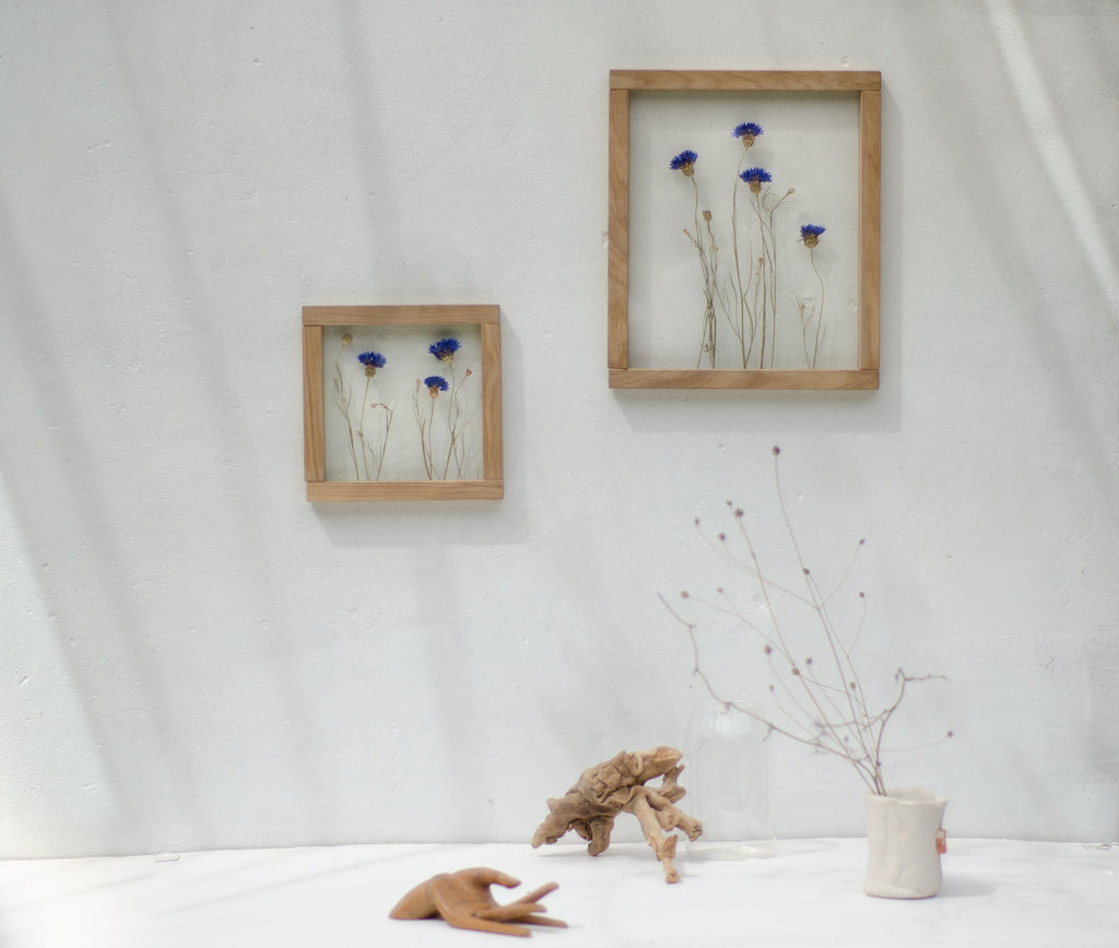 Cadre de fleurs pressées 26,5x31,5 cm - Bleuets