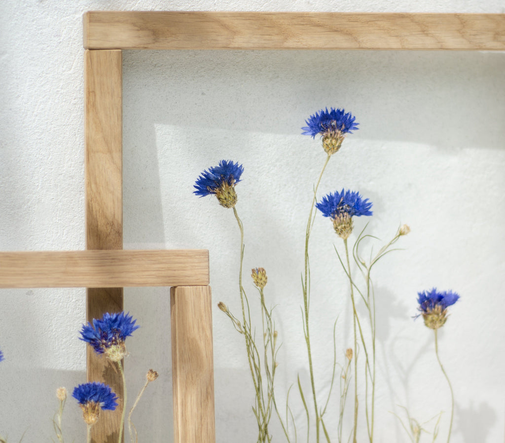 Cadre de fleurs pressées 26,5x31,5 cm - Bleuets